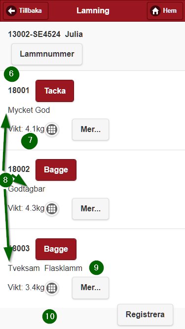 Bild från sidan Visning av lamning i mobil